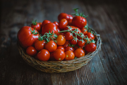 Fresh red greenhouse tomatoes showing the results of advanced pruning, feeding, and growing techniques