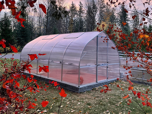 A backyard greenhouse surrounded by autumn leaves, showing seasonal transition.