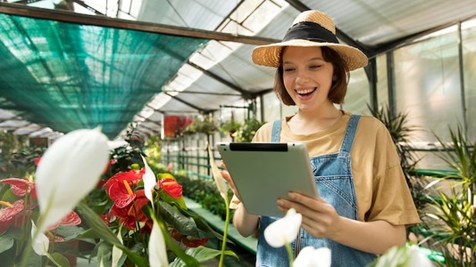 Different greenhouse styles and sizes for various gardens