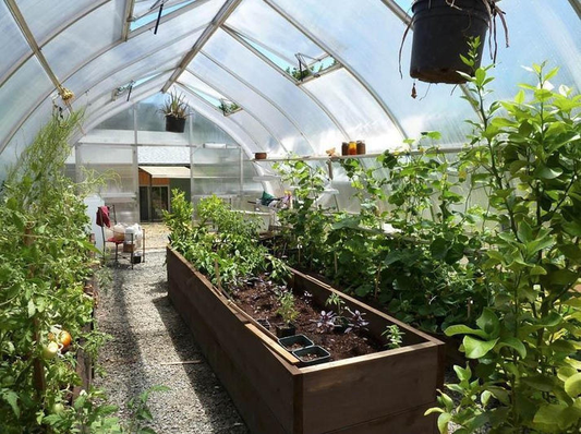 High-performance greenhouse interior with raised beds and a central walkway for efficient workflow