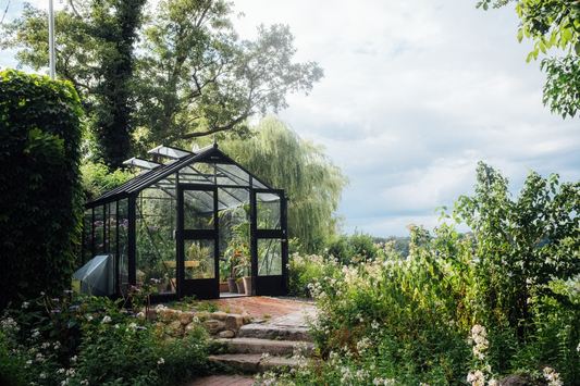 A glass greenhouse positioned in a sunny garden with open exposure and level ground