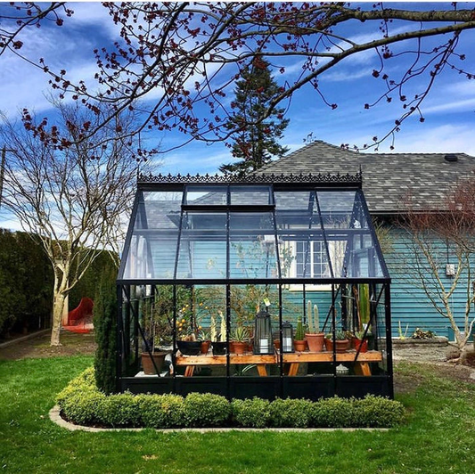 Backyard greenhouse positioned near a home with clear access and surrounding landscaping
