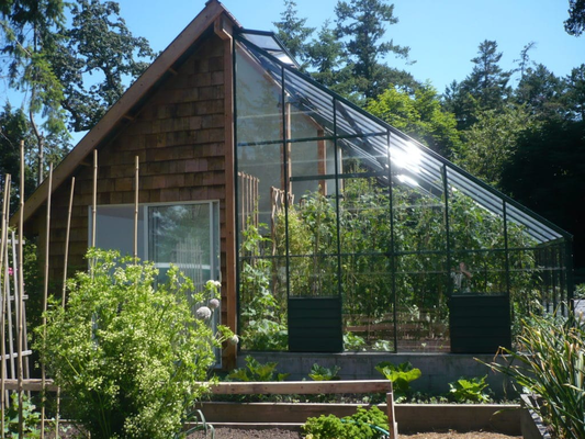 A solid, well-built lean-to greenhouse