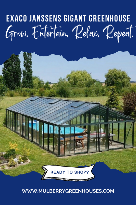 Luxury backyard greenhouse used as an outdoor living and relaxation space with seating and pool views