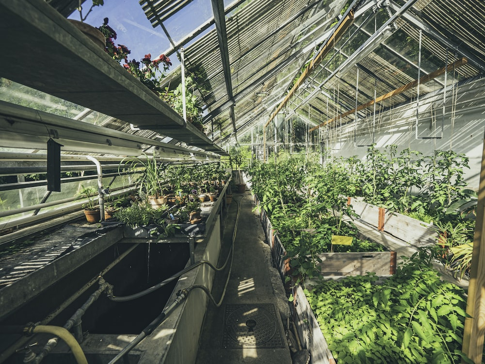 An organized greenhouse
