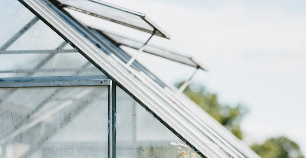Top 8 Hobby Polycarbonate Greenhouses You Shouldn’t Miss