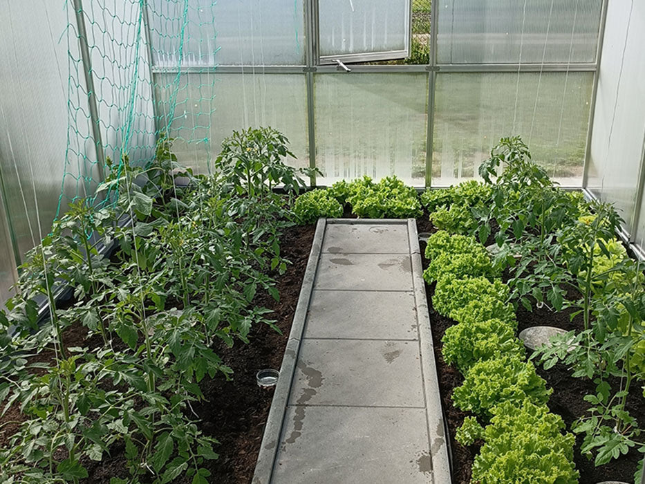 Inside the Nelke 4 Pro: raised beds of tomatoes and lettuce along a paved center path