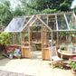 Alton Cambridge T-Shaped Cedar Orangerie