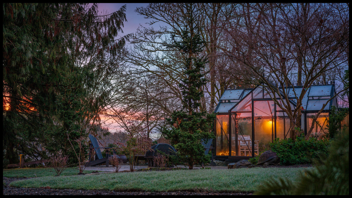 Exaco Janssens T-Shaped Royal Victorian Orangerie glowing at dusk in a wooded backyard