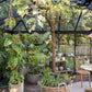 Exaco Janssens Cathedral Victorian orangerie greenhouse