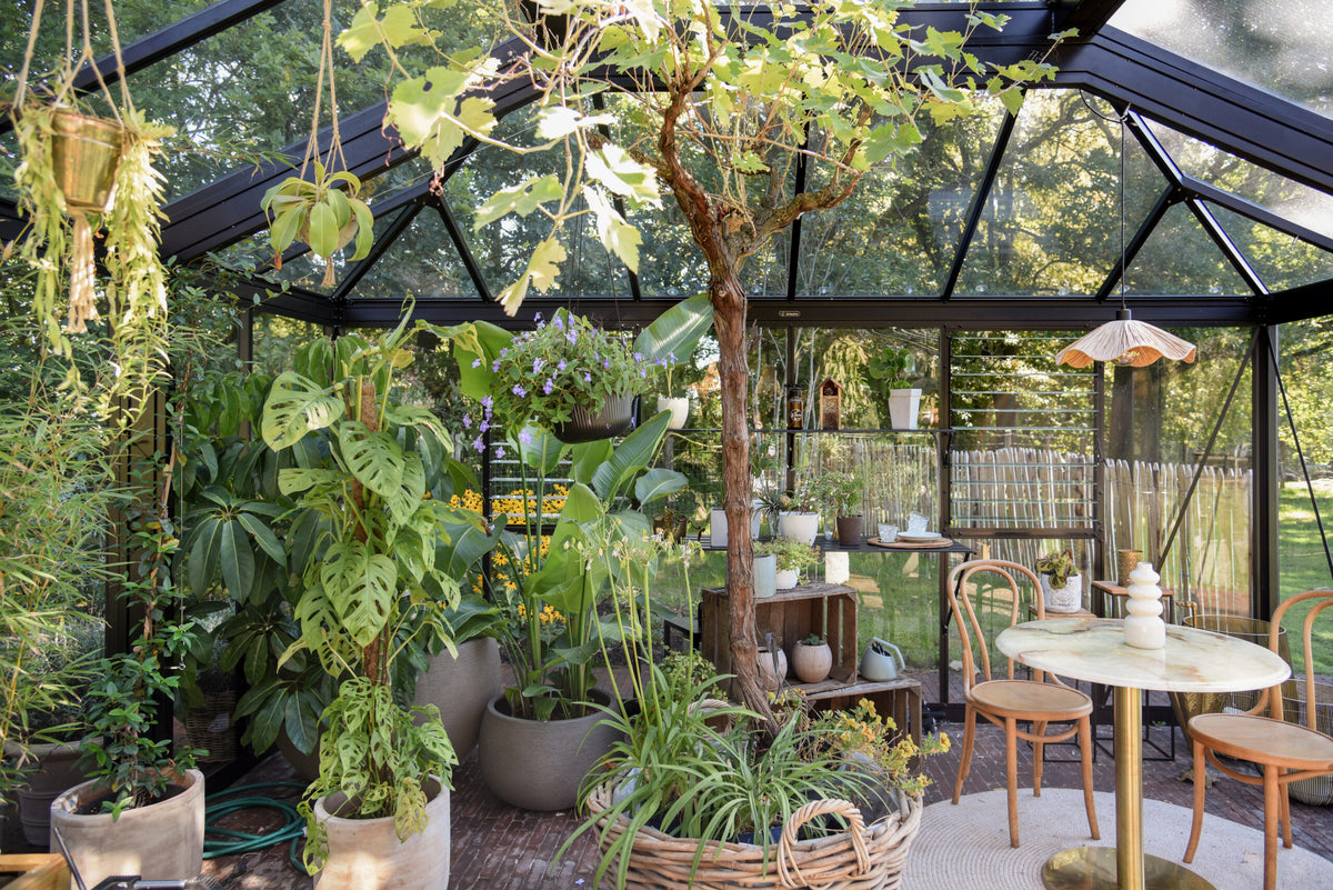 Exaco Janssens Cathedral Victorian orangerie greenhouse