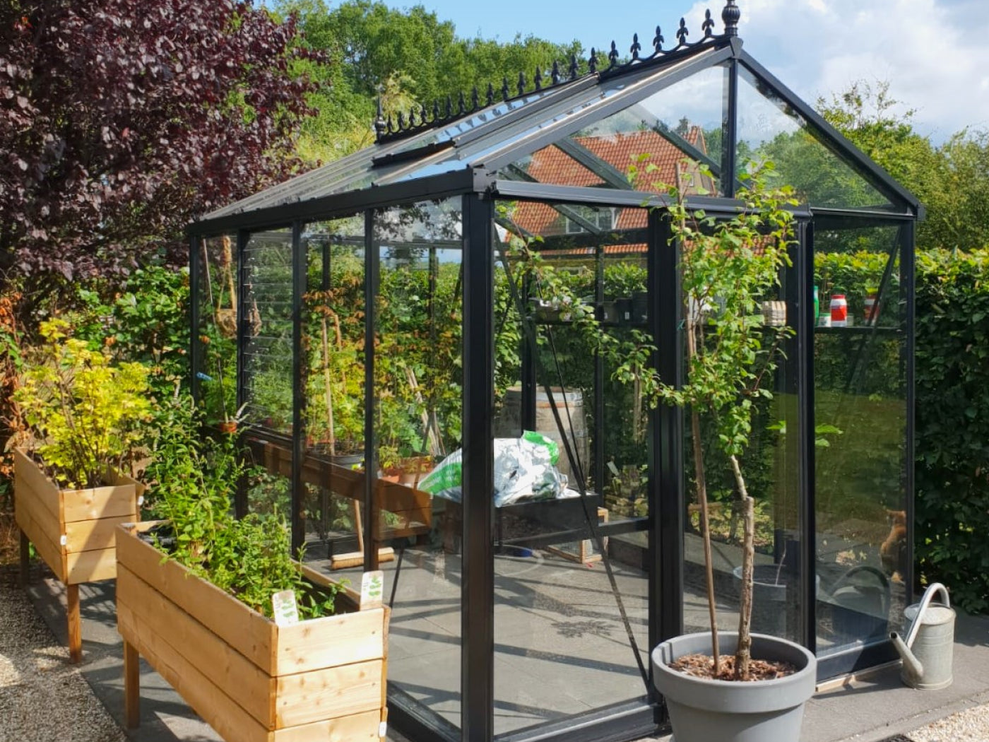 Exaco Janssens Royal Victorian VI34 Greenhouse 10ft x 15ft