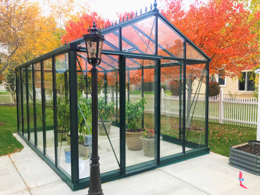 Royal Victorian VI34 greenhouse in autumn, filled with potted plants, on a concrete patio