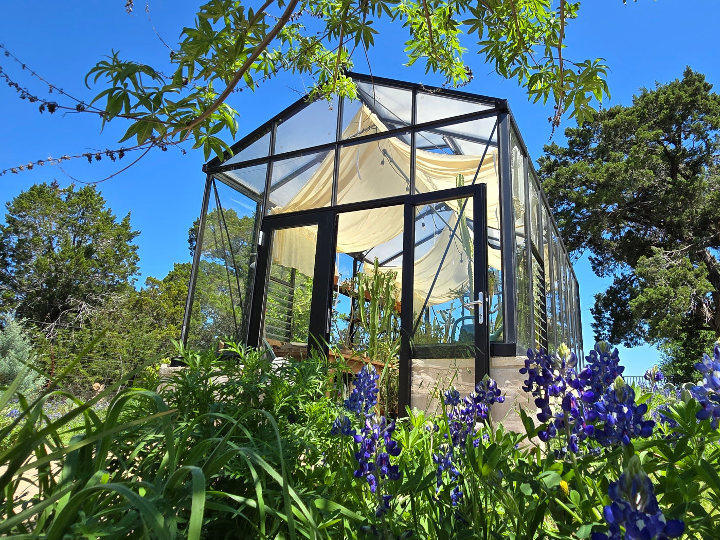 Exaco Janssens Royal Victorian VI34 Greenhouse 10ft x 15ft