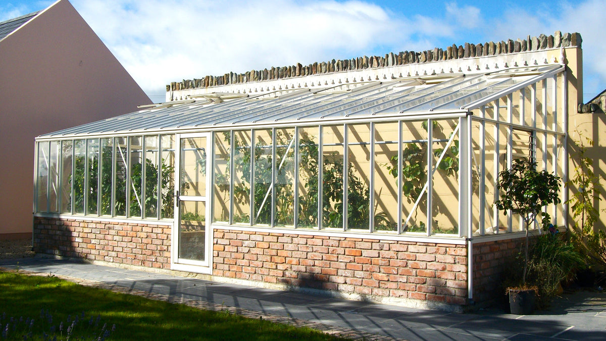 Exaco Janssens Arcadia lean-to greenhouse