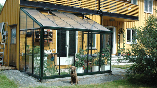 Exaco Janssens Arcadia lean-to greenhouse