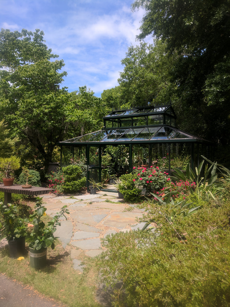 Cathedral Victorian Orangerie surrounded by flowering shrubs