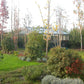 Exaco Janssens Retro Royal Victorian greenhouse