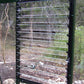 Louvered window for Janssens Royal Victorian greenhouse