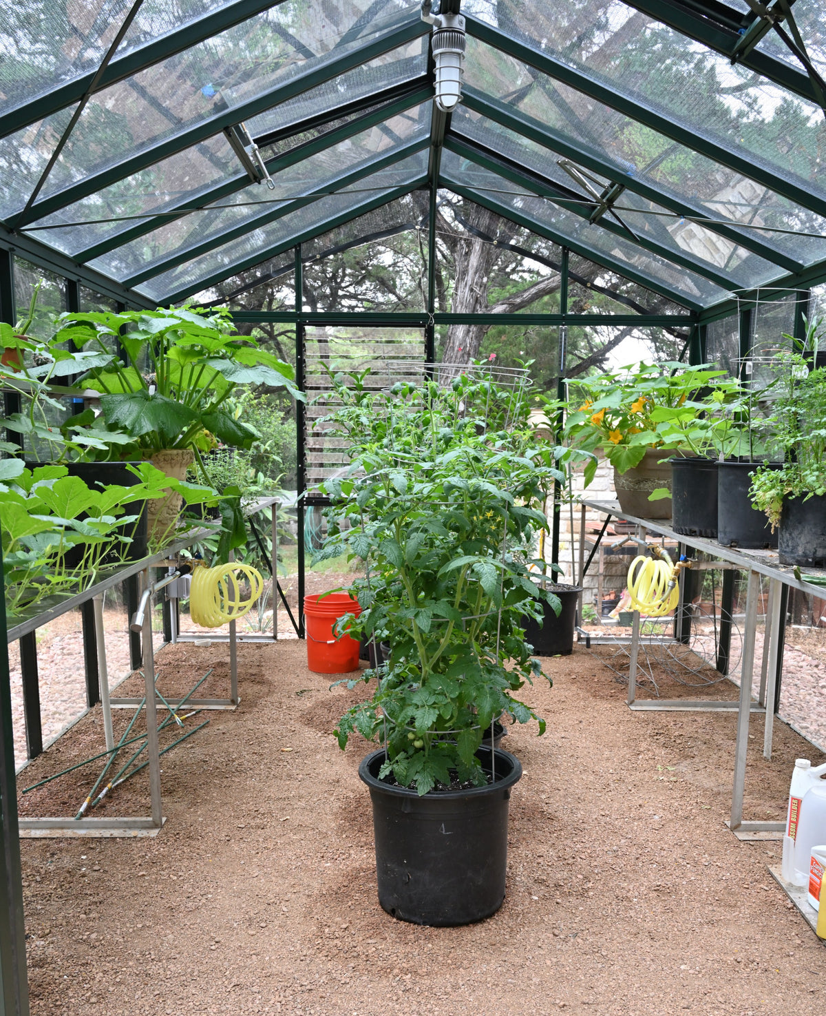 Exaco Janssens Royal Victorian VI36 greenhouse 10x20