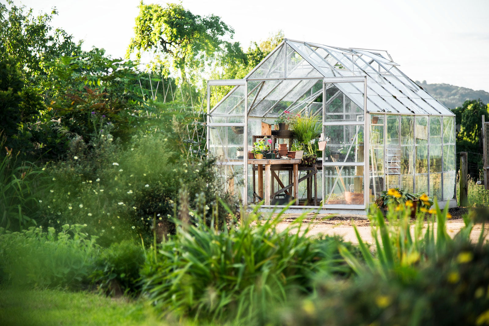 Best backyard greenhouse