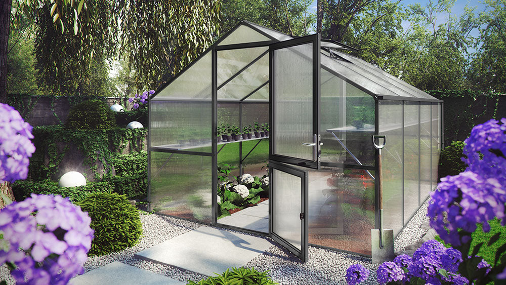 Hoklartherm Nelke 4 Pro greenhouse with anthracite frame and open Dutch barn door in a garden with purple hydrangeas