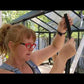 How to insert the gasket for a Victorian greenhouse