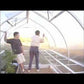 Riga greenhouse shelf assembly