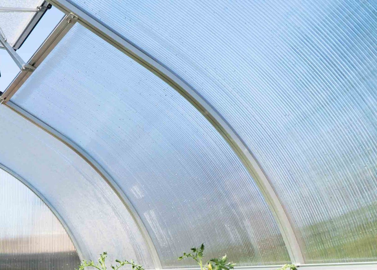Inside a Hoklartherm Riga greenhouse: close view of the twin-wall polycarbonate panels set in the aluminum arches