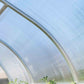 Inside a Hoklartherm Riga greenhouse: close view of the polycarbonate panels set in the aluminum arches (the Riga XL uses 16 mm triple-wall panels)