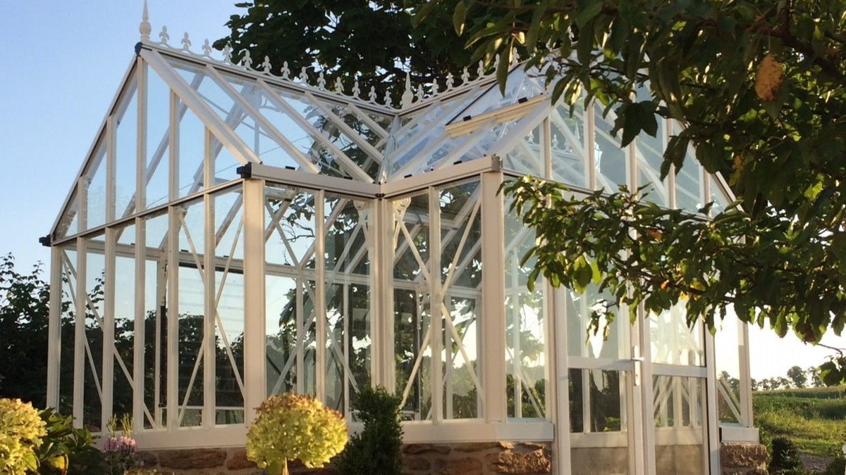 Close view of a white Royal Antique Orangerie in morning light