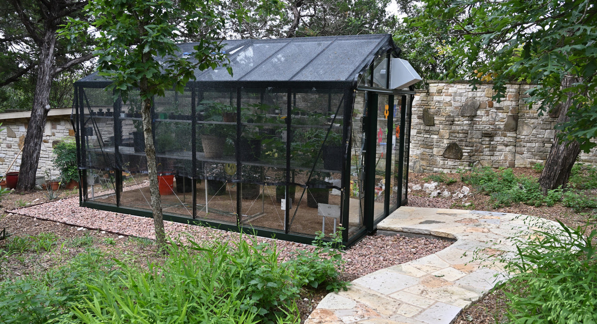 Royal Victorian VI34 glass greenhouse in a wooded garden with a stone path