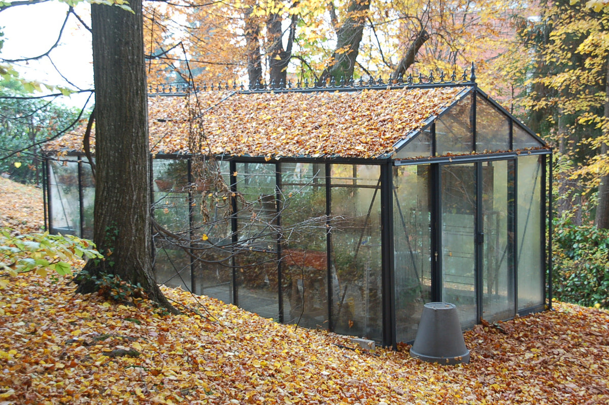 Royal Victorian VI36 greenhouse in autumn, its roof covered in fallen leaves on a wooded slope