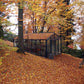 Royal Victorian VI36 greenhouse in autumn woodland, surrounded by fallen orange leaves and tall trees