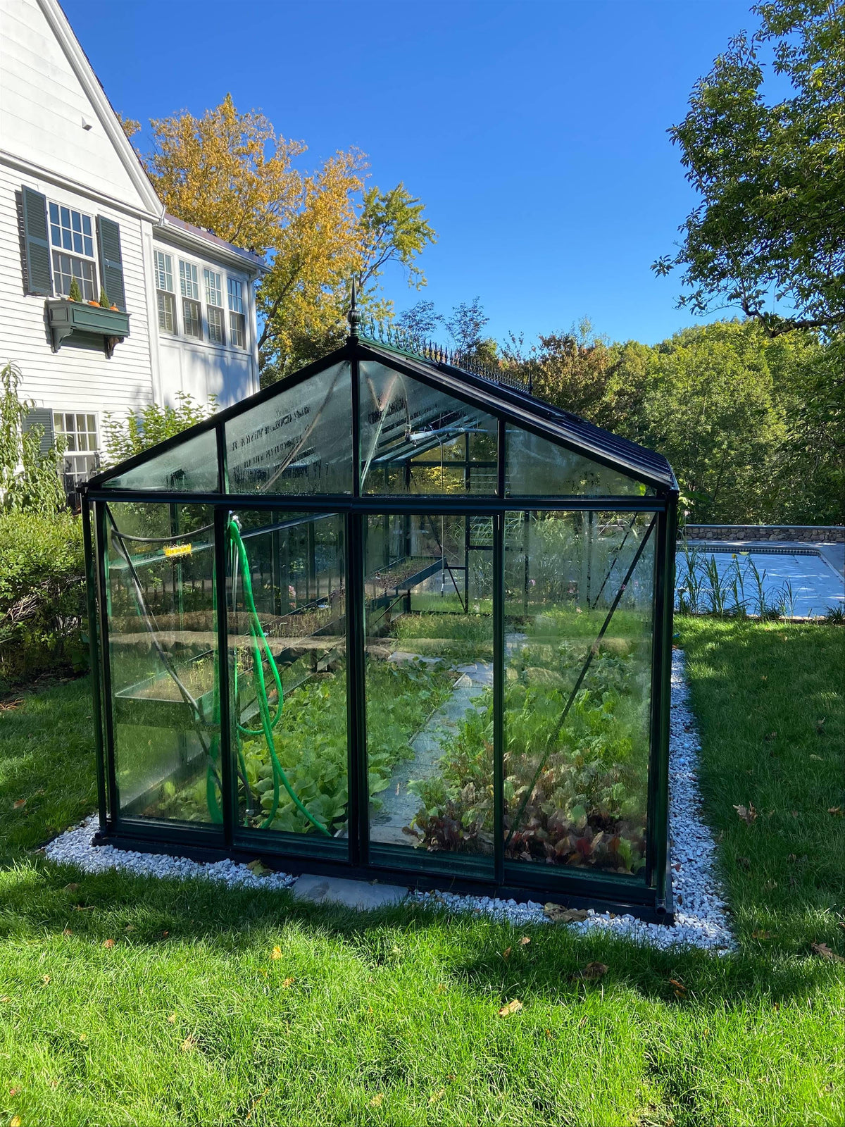 Royal Victorian VI36 glass greenhouse in a backyard, front view