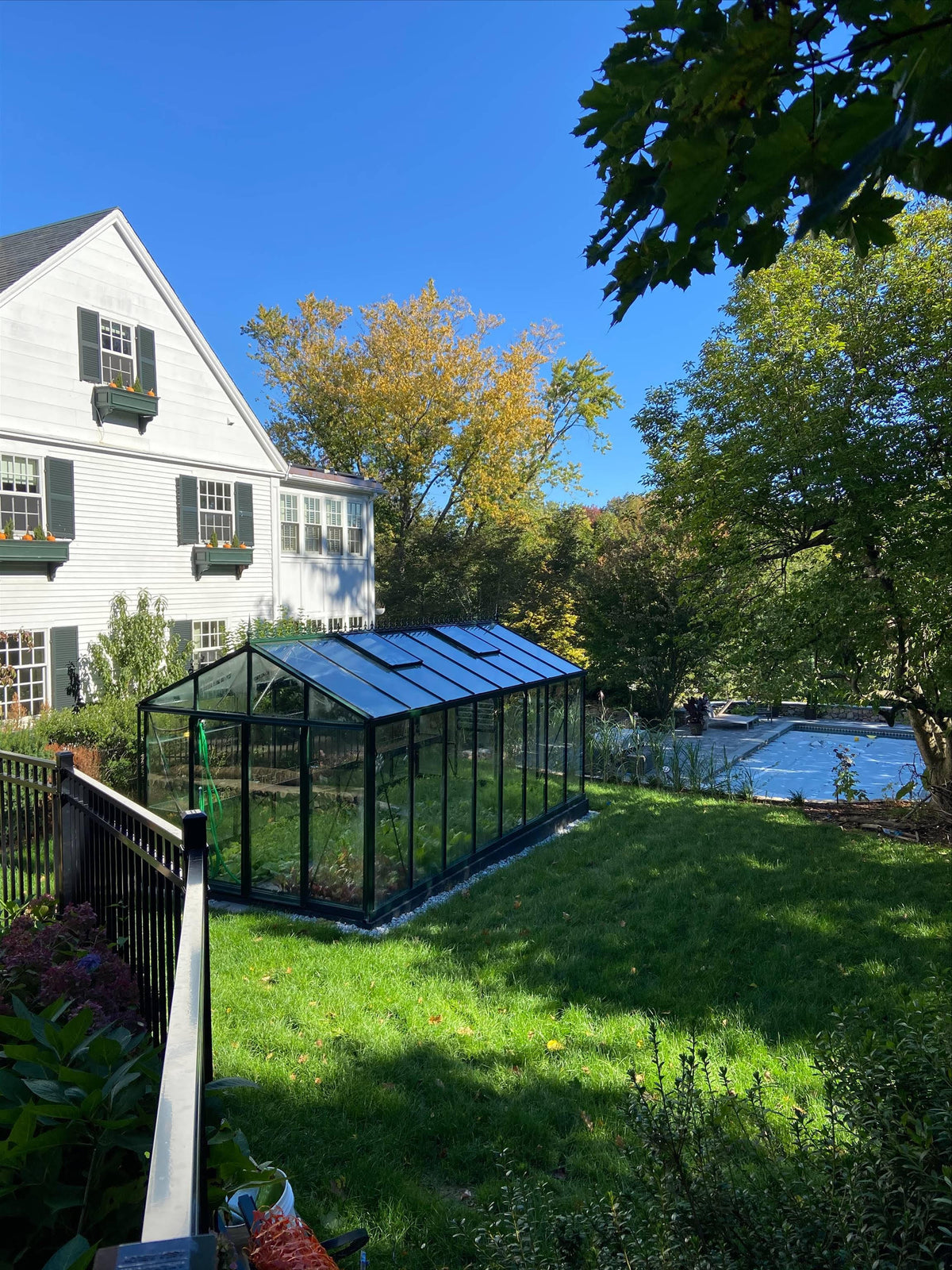 Exaco Janssens Royal Victorian VI36 glass greenhouse in a backyard with the home behind it