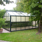 Royal Victorian VI36 greenhouse, empty with interior shade screens, on a lawn beside a large tree