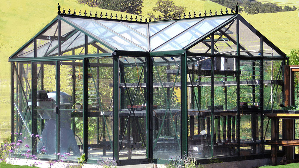 Janssens T-Shaped Royal Victorian Orangerie 13x16 in a wide garden setting