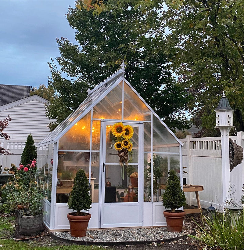 Cross Country Parkside 8x12 glass Greenhouse – photo 15 of 20