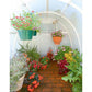 Solexx 8ft x 8ft Early Bloomer Greenhouse: G108