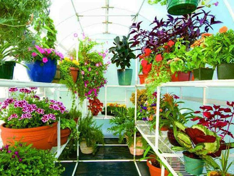 Solexx Greenhouse Shelf Racks – photo 2 of 2