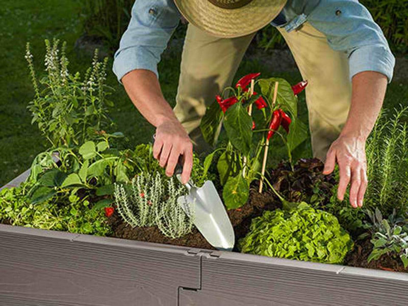 Exaco Juwel Timber Raised Bed – grey color option, photo 6 of 7