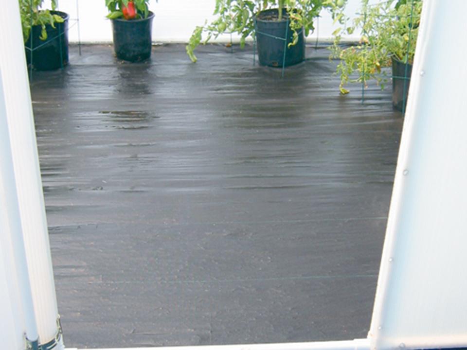 Mulberry Greenhouse Flooring – photo 2 of 2