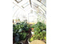 Hoklartherm Riga XL 8 Greenhouse 14x26 - Mulberry Greenhouses
