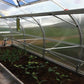 Hoklartherm Riga XL 9 Greenhouse 14x30