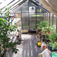 Riverstone MONT Greenhouse 8x20
