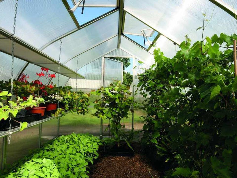 Riga Greenhouse Seed Trays – interior view, photo 3 of 3