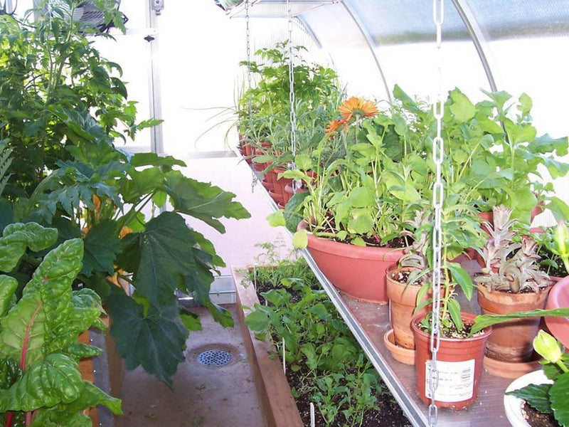Shelves inside a Hoklartherm Riga greenhouse