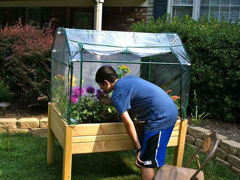 Riverstone Eden Garden Bed (Miniature polycarbonate greenhouse) – photo 4 of 15