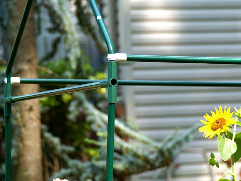 Riverstone Eden Garden Bed (Miniature polycarbonate greenhouse) – photo 6 of 15